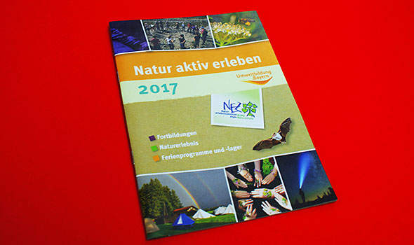 Farbintensive geklammerte Broschüre auf Umweltpapier. BRO_RDH_A5_Recycling_geklammerte_Broschuere_Fotos_04509.jpg