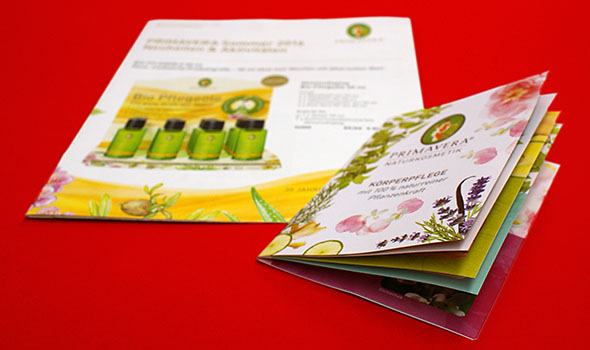Verschiedene Formate der geklammerten Flyer führen bestimmt zum erwünschten Werbeerfolg. BRO_RDH_SF_Recycling_geklammerte_Flyer_im_Sonderformat_04565.jpg