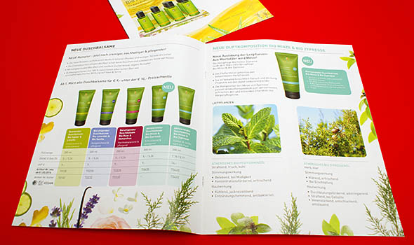 Informationsbroschüre nach Ihren Wunschmaßen bieten viele Gestaltungsmöglichkeiten. BRO_RDH_SF_Recycling_schoen_gestaltete_Informations_Werbebroschuere_offen_04558.jpg