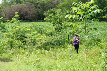 Neuer Somoto Firmenwald Firmenwald--Somoto_Donnerstag_05_Uhl_Media.jpg