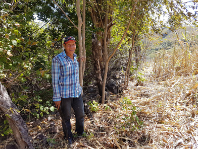 Firmenwald in Niceragua Firmenwald-Niceragua_20170213_105211.jpg