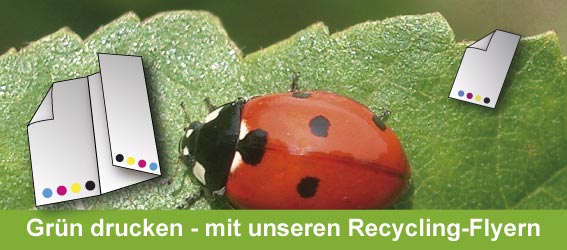 info-Recycling-Flyer-Grafik info-Recycling-Flyer-Grafik